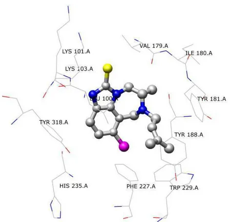 Figura 7: Sítio ativo da enzima HIV1-RT mostrando o inibidor 8 Cl-TIBO (ball &amp; stick) e os aminoácidos situados a  uma distância ≤ 4,0 Å do inibidor