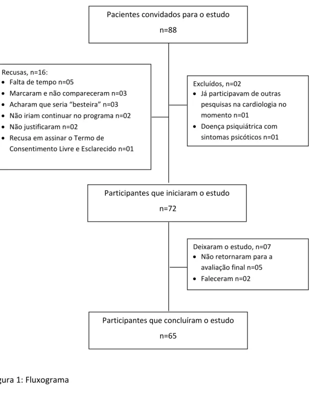 Figura 1: Fluxograma 