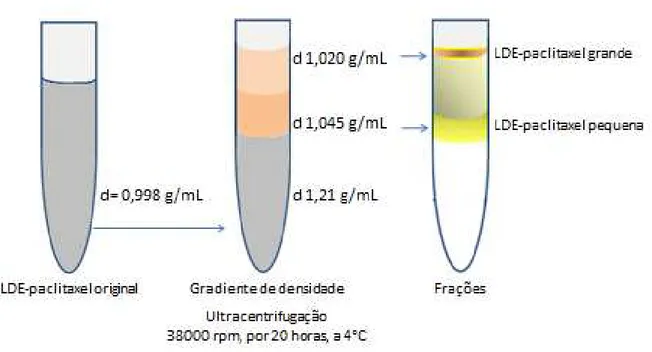 Figura  1  – Representação  esquemática  da  separação  das  nanoparticulas,  partindo  da  LDE- LDE-paclitaxel original até a formação de duas faixas de tamanho distintas, LDE-LDE-paclitaxel grande e  LDE-paclitaxel pequena 