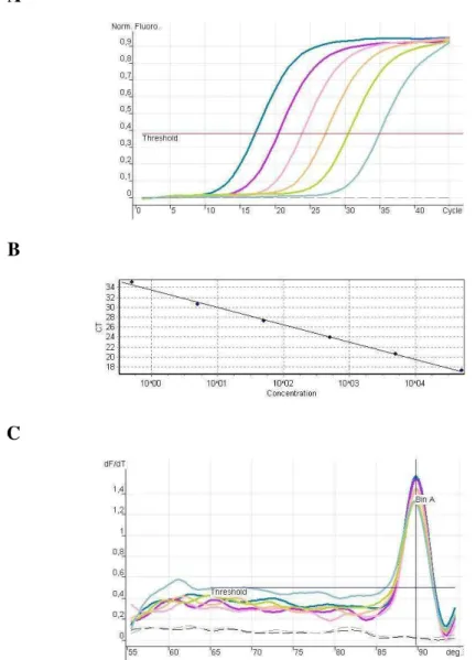 Figura  2  -  Padronização  da  PCR  em  tempo  real:  A.  Diluições  seriadas  de  DNA  de  T
