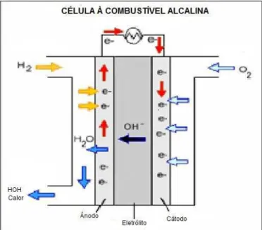 Figura 1: Esquema de funcionamento de uma célula a combustível alcalina. 