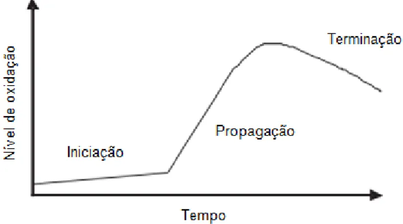 Figura  3  –  Nível  de  oxidação  lipídica  consoante  a  fase  do  processo,  iniciação,  propagação e terminação