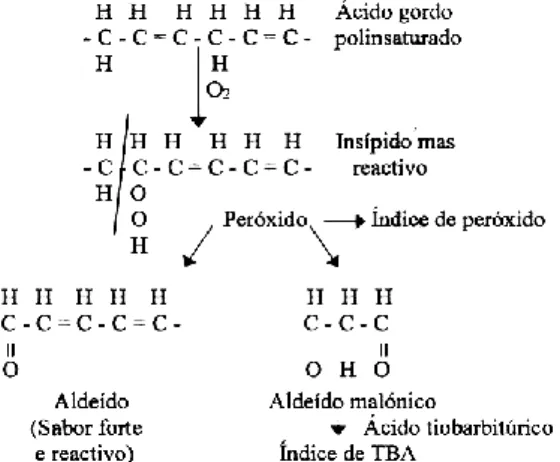 Figura 4 - Processos básicos envolvidos na oxidação dos ácidos gordos polinsaturados  que se encontram no tecido do peixe