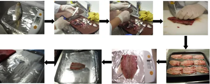 Figura  8  –  Fluxograma  ilustrativo  do  processo  de  preparação  e  filetagem  da  sardinha  fresca  (Pesagem  da  sardinha;  remoção  da  cabeça,  barbatana  caudal  e  vísceras;  extração  da  espinha  dorsal;  preparação  do  filete  de  sardinha;  