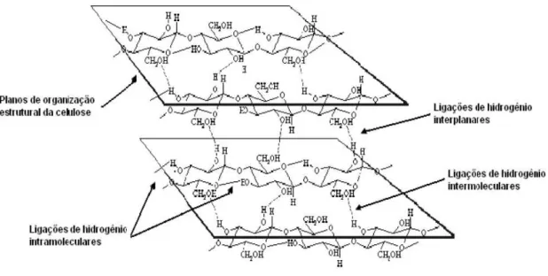 Figura 3: Representação das ligações de hidrogênio nas cadeias de celulose (PITARELO, 2007)