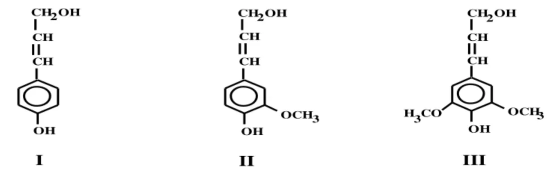 Figura  5:  Unidades  fenilpropano  precursoras  da  lignina.  (I)  Álcool  p-cumarílico;  (II)  Álcool                            coniferílico; (III) Álcool sinapílico (FENGEL e WEGENER, 1989)
