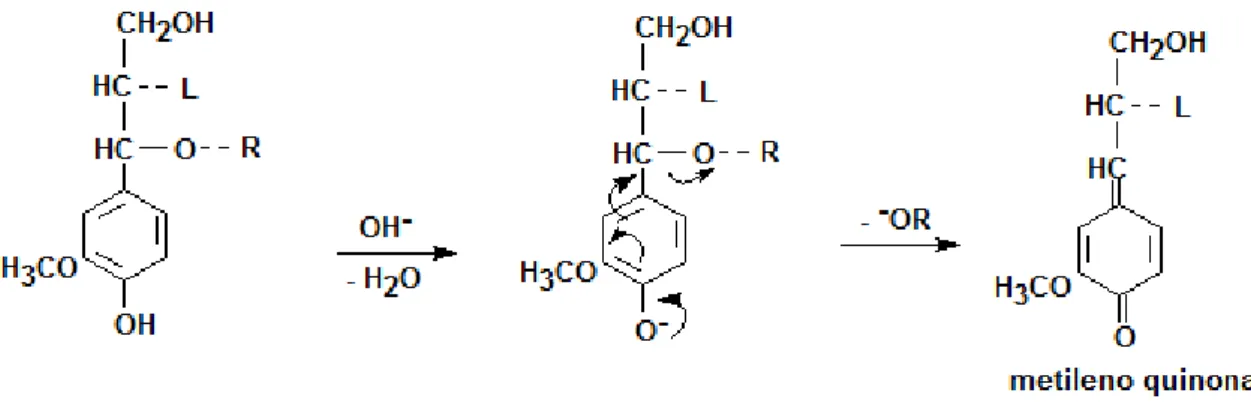 Figura 7: Reações da lignina em meio alcalino (SJOSTROM, 1993). 