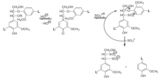 Figura  8:  Mecanismo  da  sulfonação  da  lignina  na  polpação  sulfito  em  meio  neutro  e  alcalino  (GELLERSTEDT et al., 2009)