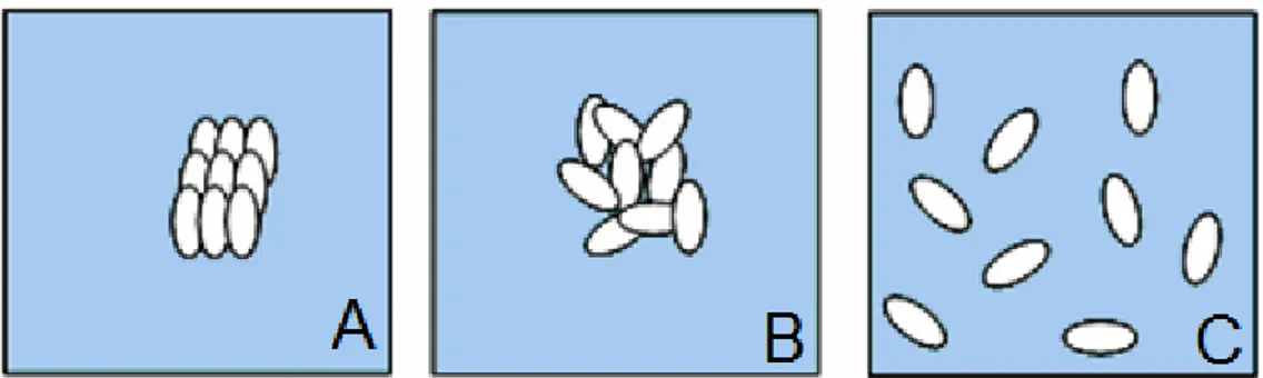 Figura 3: Representação esquemática de três modos de incorporação do fármaco em uma dispersão  sólida  (A=Partícula cristalina I a IV), B=Partícula amorfa tipo II e V), e (C=Partícula dispersa  molecurlamente Tipo III e VI) (adaptada de Dhirendra  et al., 