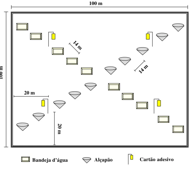 Figura 1  - Esquema de distribuição das bandejas d’água, alçapões e cartões adesivos em  cada tratamento