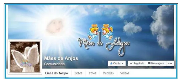 Figura 17 -  Fan page GAMA  –  Grupo de Apoio à Mães de Anjos/Facebook 