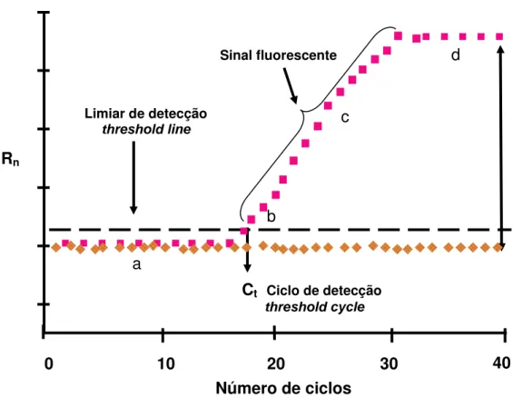Figura 1. Representação esquemática das diferentes fases da PCR-RT.    = amostra controle;             