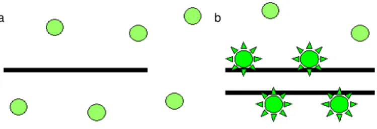 Figura  3.  Princípio  fluorogênico  do  corante  SYBR ®   Green.  A  emissão  de  fluorescência  é  aumentada  quando  o  corante  se  liga  ao  DNA  dupla-fita  (b)  e  é  baixa  quando  não  está  ligado (a)