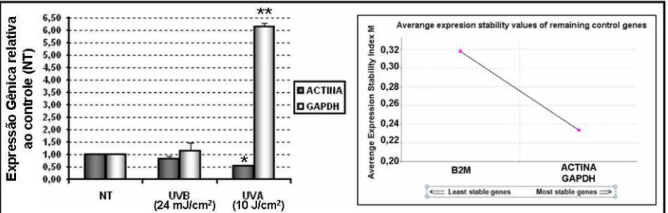 Figura 12. Expressão relativa dos genes endógenos GAPDH e ACTINA em HaCaT após 24 horas da radiação UVA  e  UVB