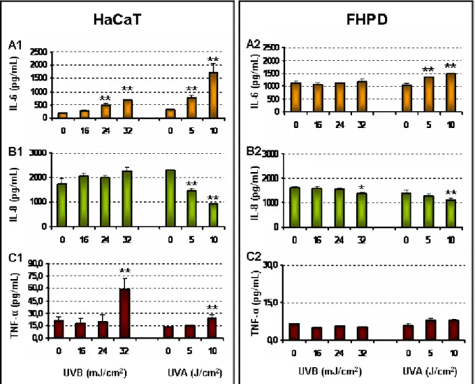 Figura 18. Liberação de IL-6, IL-8 e TNF-α por queratinócito humano imortalizado (HaCaT) e fibroblasto humano  primário  dermal  (FHPD)  após  a  exposição  à  radiação  UVA  e  UVB