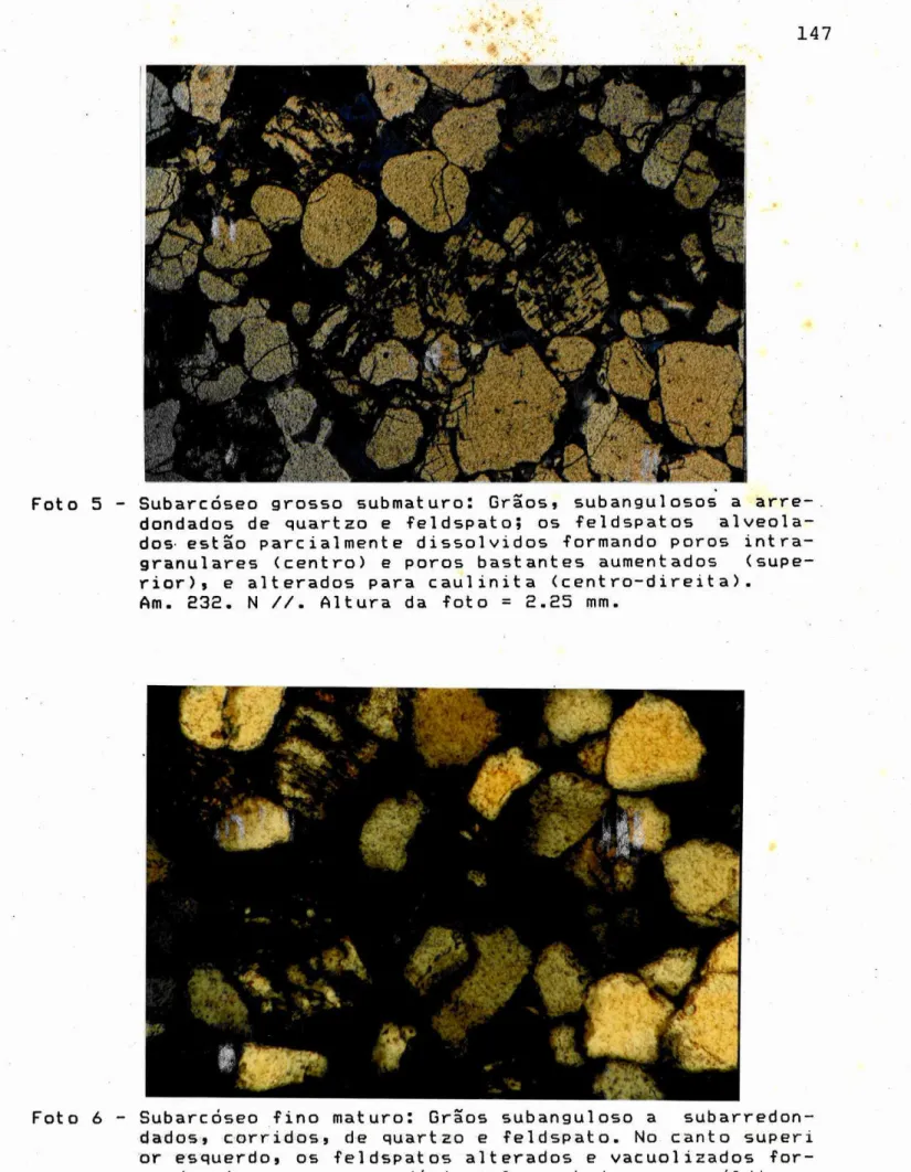 Foto  5 -  SubarcóEeo  grosso  submaturo: Grãosr  subangulosos  e arre-