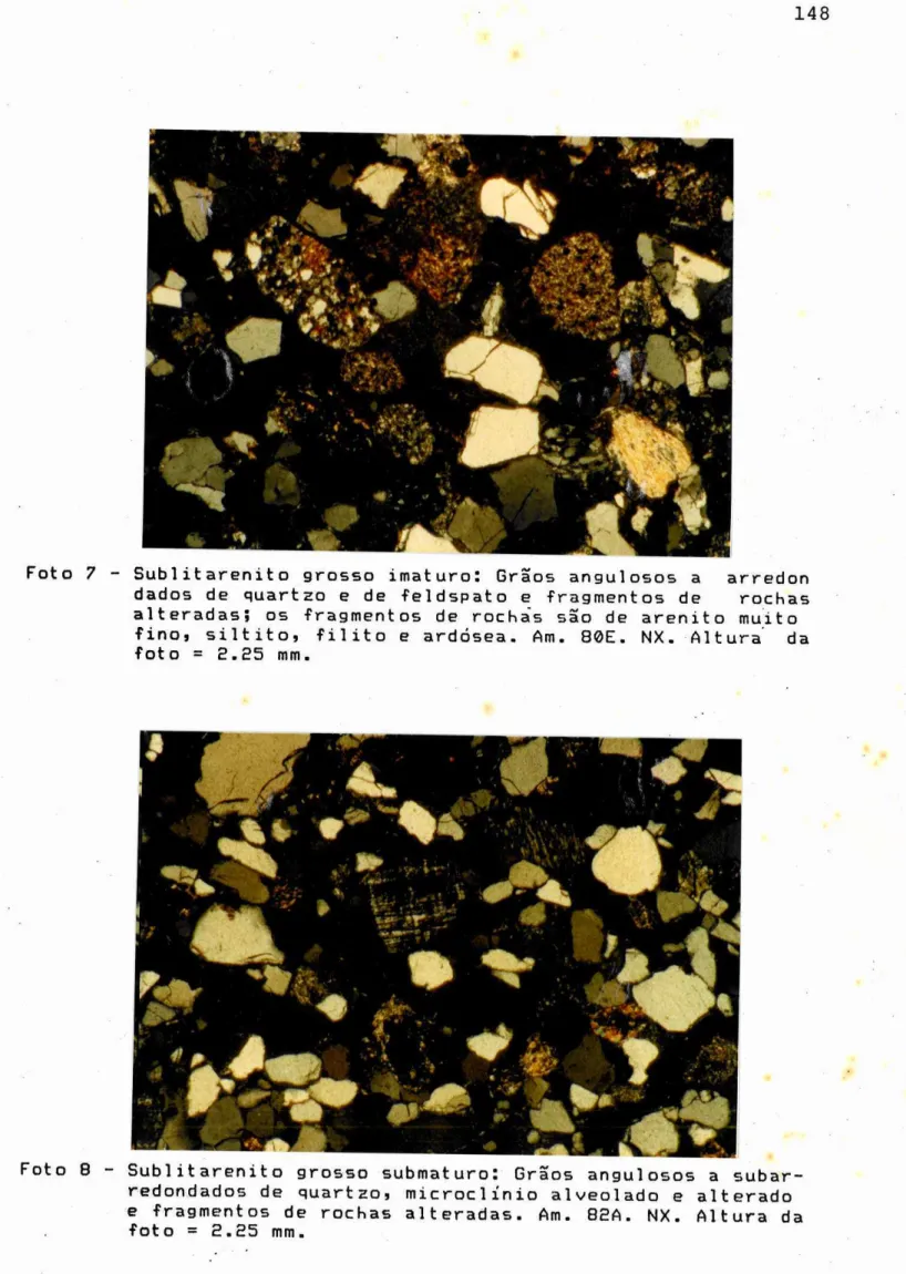 Foto  7 -  Sublitarenito  grosso  imaturoi  6rãos  angulosos  a  arredon d¡dos  de  quartzo  e de feldspato e  fragmentoE  de  rochas