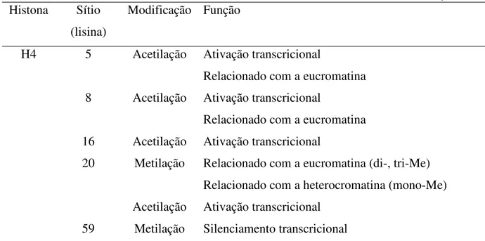 Tabela  1  –  Algumas  modificações  pós-traducionais  em  histonas  e  seus  efeitos  na  estrutura  e  função da cromatina   (conclusão)  Histona  Sítio  (lisina)  Modificação  Função 