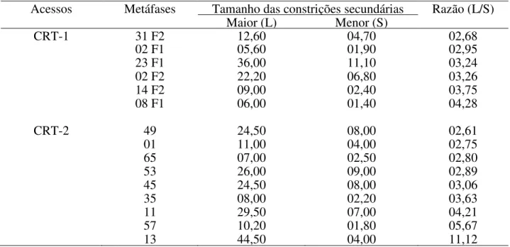 Tabela 3 – Medidas de metáfases que apresentaram expressão diferencial maior que 2,5 entre as  constrições secundárias 