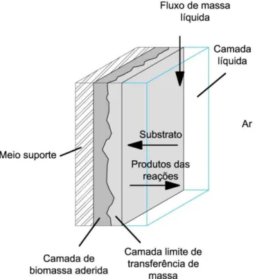 Figura 1 - Esquema de uma seção transversal do biofilme num filtro percolador (adaptado de (Metcalf 