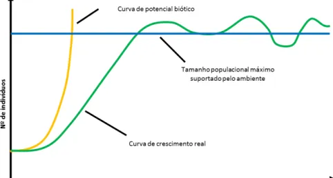 Figura 1  –  Curva típica de crescimento populacional de uma espécie. 