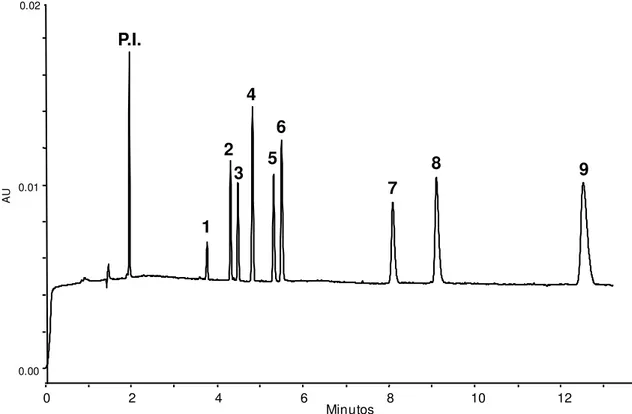 Figura 7. Eletroferograma dos padrões de ácidos fenólicos na condição otimizada: 