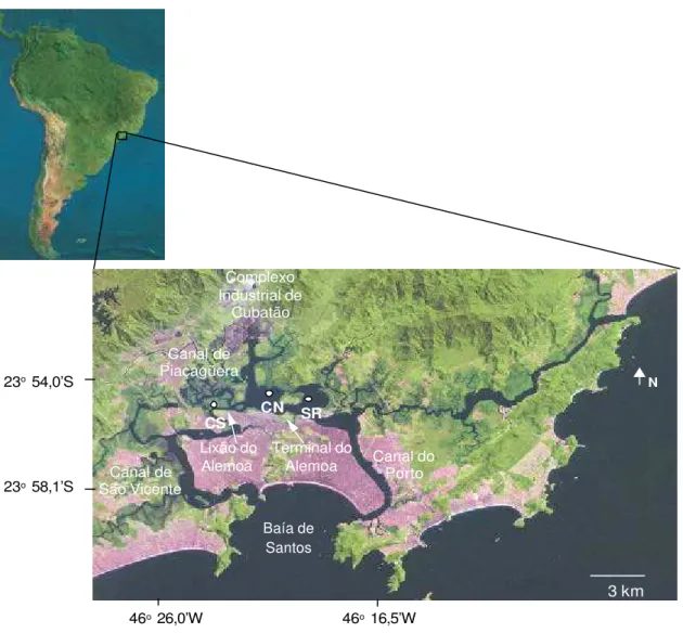 Figura 1. Localização da área de estudo e dos locais de amostragem. 