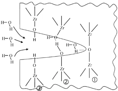 Figura 2.5 - Imagem esquemática da interação entre as moléculas de água e as moléculas de óxido  presentes na ponta da trinca [1] 