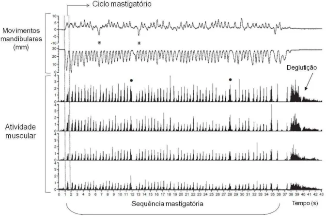 Figura 2.6 - Exemplo de uma seqüência mastigatória completa em função do tempo. Cada pico  equivale a um ciclo mastigatório