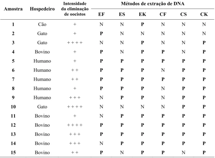 Tabela 6 –  Resultados das amplificações pela nested PCR do gene SSU rRNA de amostras fecais  positivas na pesquisa de oocistos de Cryptosporidium  pelo método de  centrífugo-flutuação em sacarose