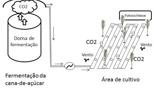 Figura 7  –  Esquema da irrigação por gotejamento para irrigar CO 2  ou água na área de cultivo 