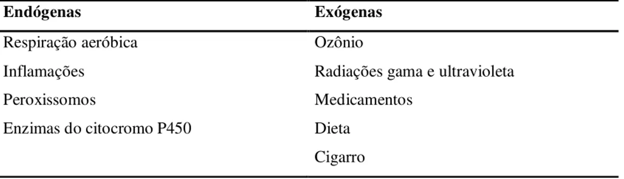 FIGURA 2 -  Algumas doenças relacionadas com a geração de radicais livres (SHAHIDI, et  al