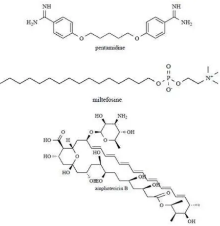 Figura 9. Estruturas químicas da pentamidina, do miltefosine e da anfotericina B 