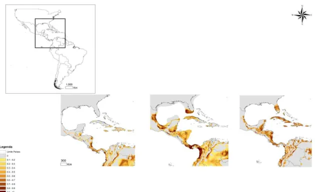 Figura 13. Área com alta adequabilidade ambiental na região da Flórida, Cuba e América Central  para Ficus citrifolia durante o último máximo glacial (21.000 anos atrás)