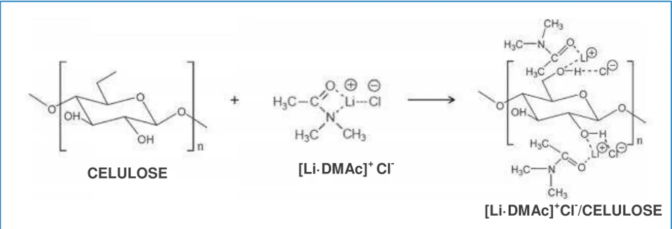 Figura 10 - Mecanismo proposto para a dissolução da celulose no sistema de solvente  dimetilacetamida/cloreto de lítio (DMAc/LiCl) 