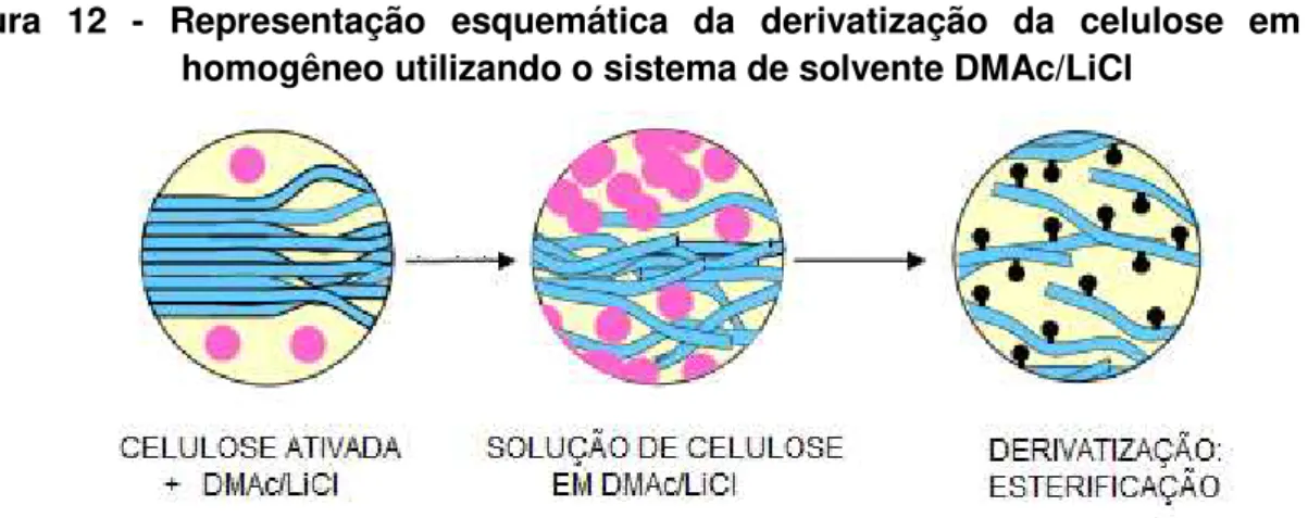 Figura  12  -  Representação  esquemática  da  derivatização  da  celulose  em  meio  homogêneo utilizando o sistema de solvente DMAc/LiCl 