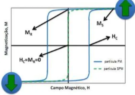 Figura  17  -  Curva  teórica  da  magnetização  versus  campo  magnético  para  nanopartículas superparamagnéticas (SPM) e ferromagnéticas (FM)  