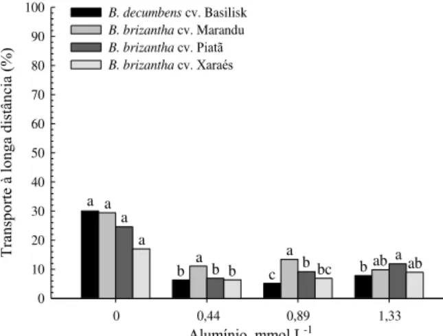 Figura  12.  Transporte  à  longa  distância  de  Al,  nos  quatro  genótipos  de  Brachiaria,  em  resposta à adição de alumínio na solução nutritiva