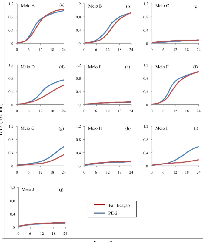 Figura  12  –  Perfil  de  crescimento,  medido  por  D.O.  (570  ƞm)  a  cada  2  horas  no  decorrer  de  24  horas,  das linhagens PE-2 e panificação, em meios com diferentes intensidades de estresses 