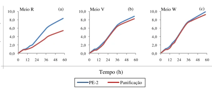 Figura 14 – Perfil de crescimento, medido por D.O. (600 ƞm), nos intervalos de tempo de 6, 9, 12, 15, 18, 21, 33,  40 e 58 horas, das linhagens PE-2 e panificação, nos meios R, V e W 