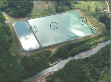 Figura  13  –  Pontos  de  coleta  (1,  2  e  3)  na  lagoa  facultativa  da  Estação  de  Tratamento  de  Esgoto de Cajati e (4) na área de lançamento para o rio, no tanque de cloração