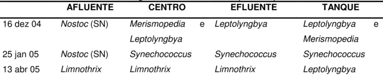 Tabela 8 – Gêneros isolados da lagoa facultativa e seus respectivos pontos e datas. 