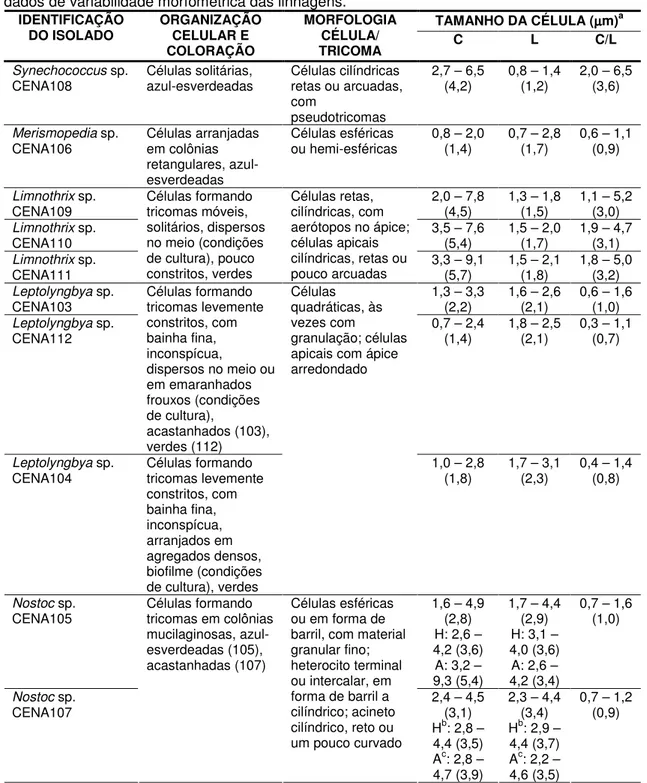 Tabela  10  –  Descrição  dos  morfotipos  das  cianobactérias  isoladas  neste  estudo,  incluindo  os  dados de variabilidade morfométrica das linhagens