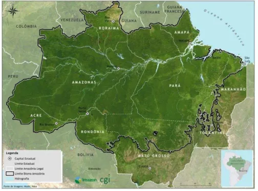 Figura 1  –  Mapa da Amazônia brasileira. Cerca de 80% da floresta corresponde à floresta tropical primária