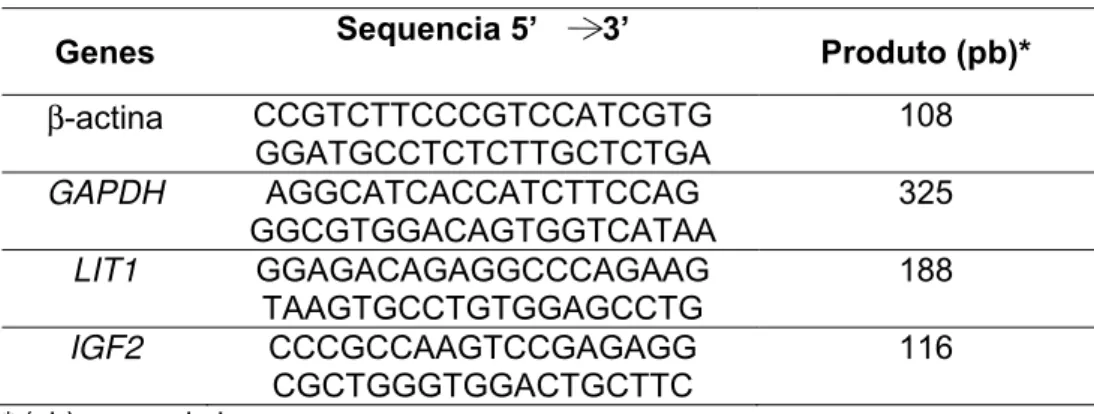 Tabela 1: Conjunto de primers a utilizados para PCR em tempo real. 