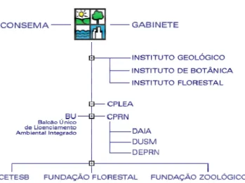 Figura 3 – Estrutura organizacional da SMA (SÃO PAULO, SMA, 2008). 