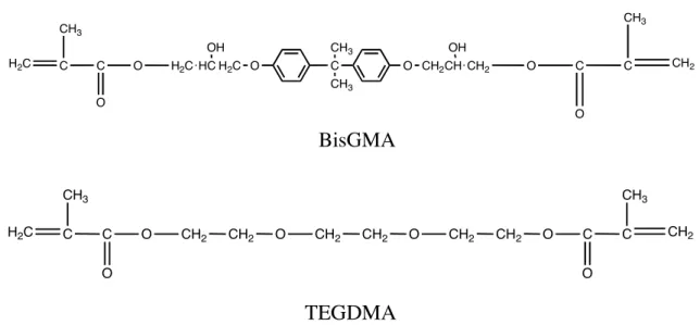 Figura 4.1 – Estrutura química dos monômeros utilizados. 