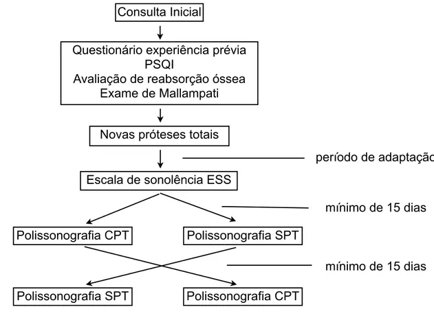 Figura 4.1 - Desenho do estudo