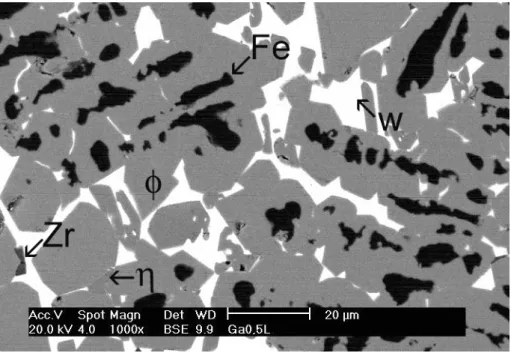 FIGURA 4.7: Micrografia obtida no MEV (aumento 1000x), por elétrons retro-espalhados,  da liga Pr 12,6 Fe 68,3 Co 11,6 BB 6 Zr 0,5 Ga 1 