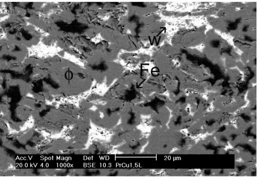 FIGURA 4.10: Micrografia obtida no MEV (aumento 1000x), por elétrons retro- retro-espalhados, da liga Pr 17 Fe 76,5 BB 5 Cu 1,5 